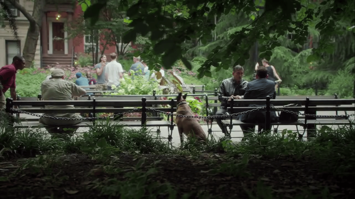 Person of Interest Season 4 Dog