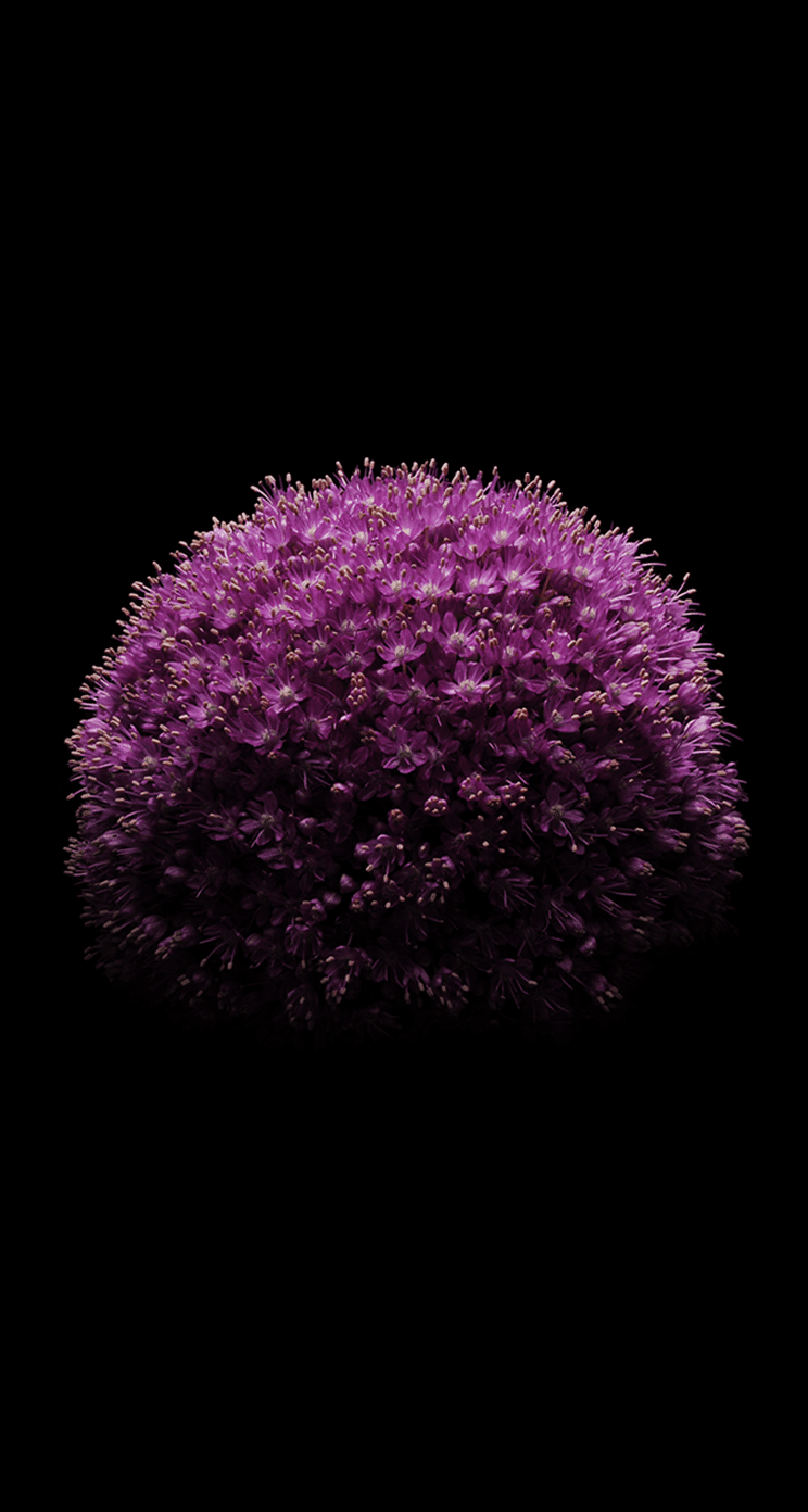iOS 8 Wallpapers