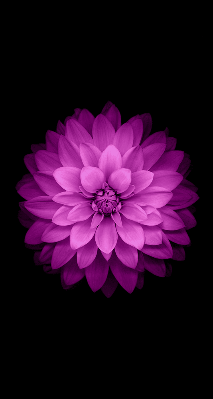 iOS 8 Wallpapers