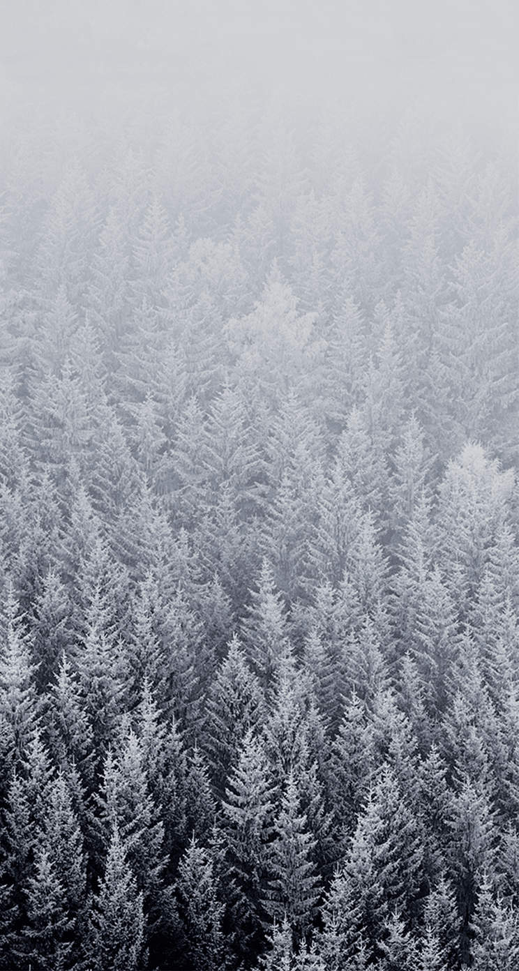 iOS 8 Wallpapers