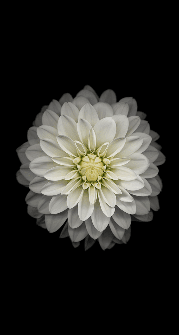 iOS 8 Wallpapers