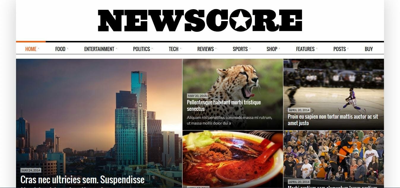 newscore-best-wordpress-themes
