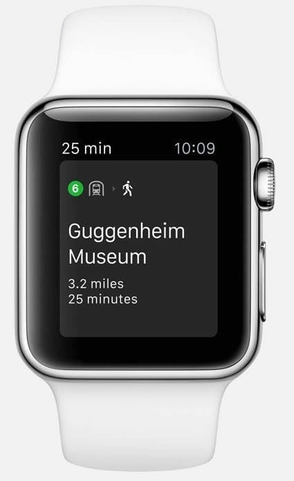 Apple Watch-Transit