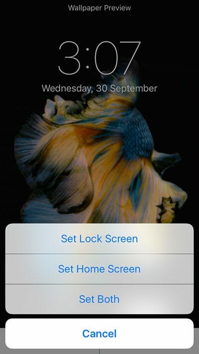 iOS settings live wallpaper final