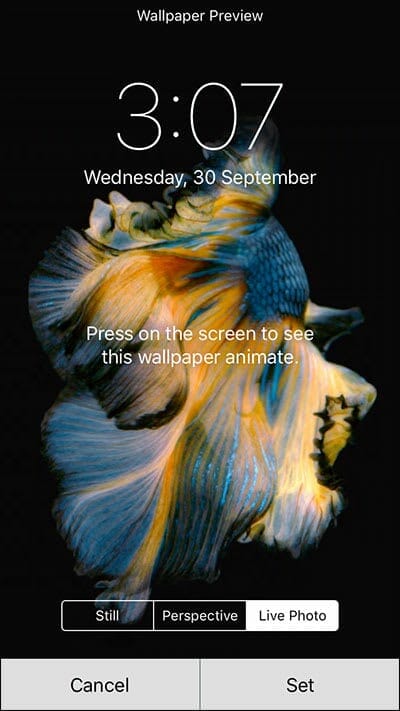 Download, Create and Set Live Wallpapers on iPhone, iPod and iPad