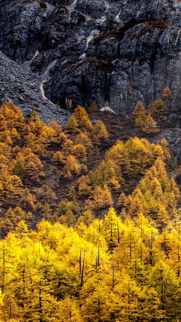 infocus turbo 5 theme 6