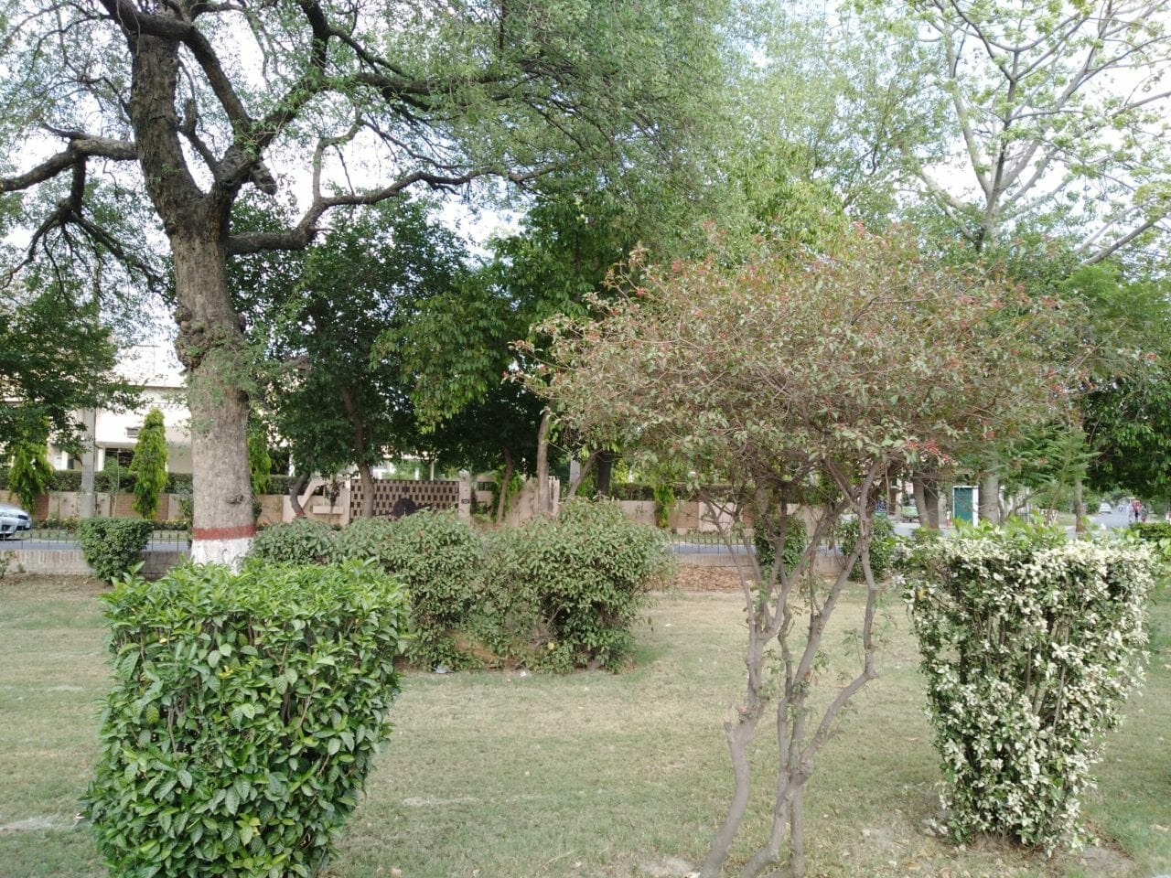 Huawei Y7 Prime 2018