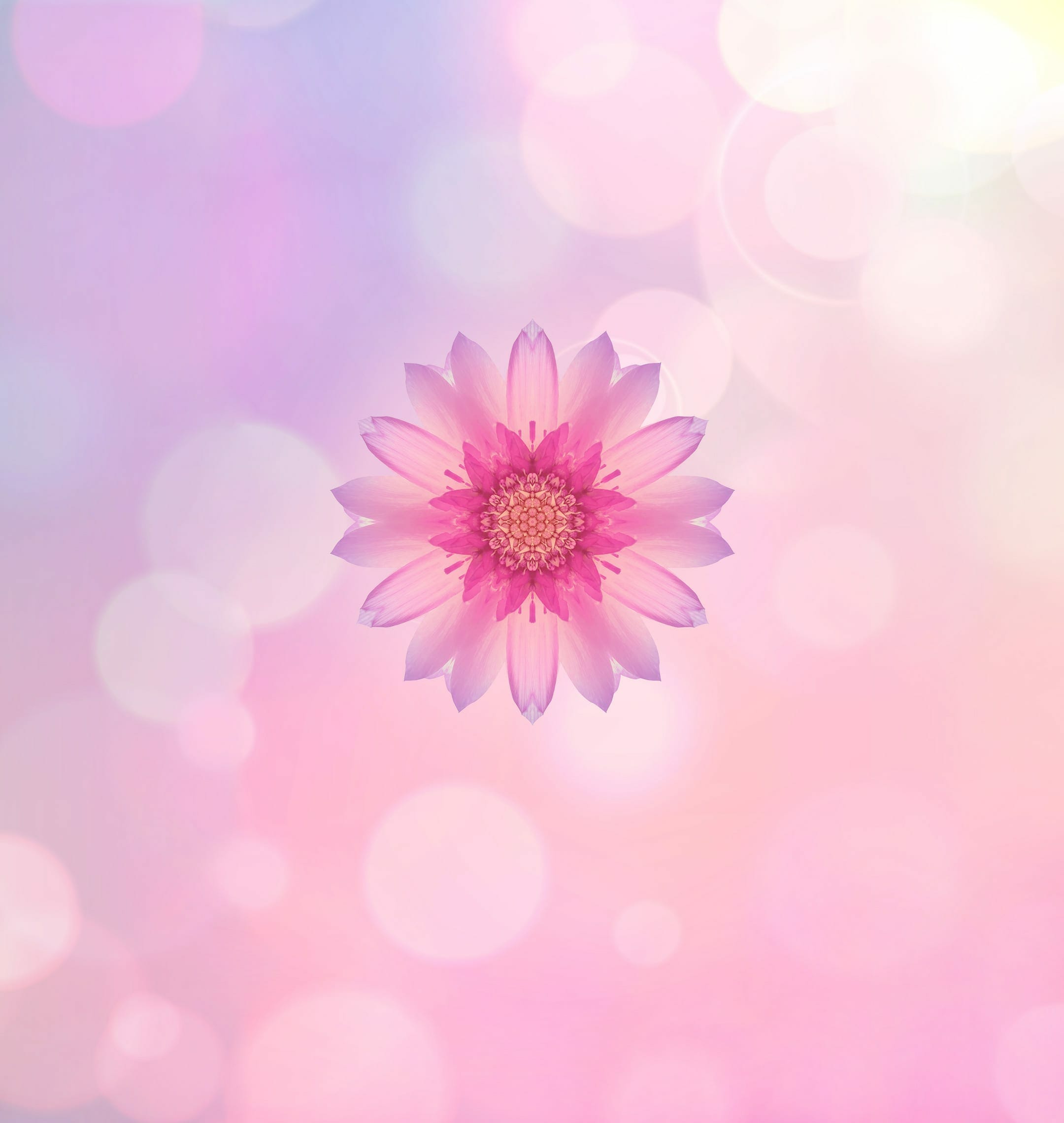 huawei_honor_10_wall_droidviews_08