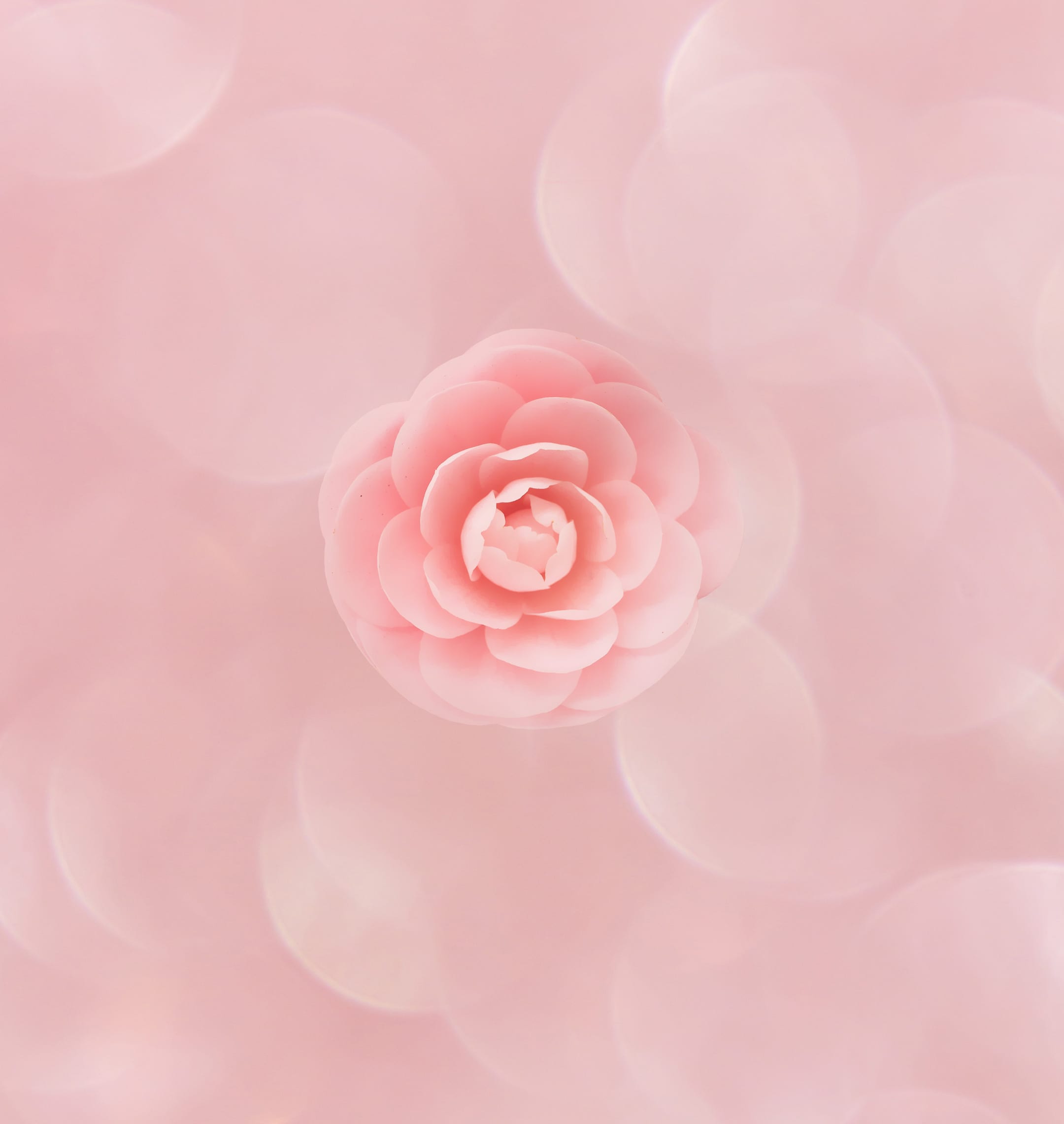 huawei_honor_10_wall_droidviews_14