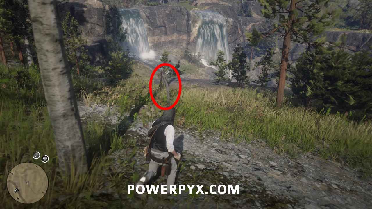 Red Dead Redemption 2 All Grave Locations Guide