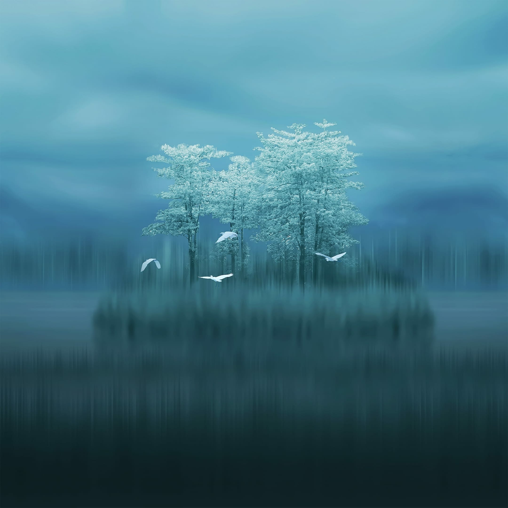 Huawei Mate 20 Pro and Mate 20 X Stock Wallpapers