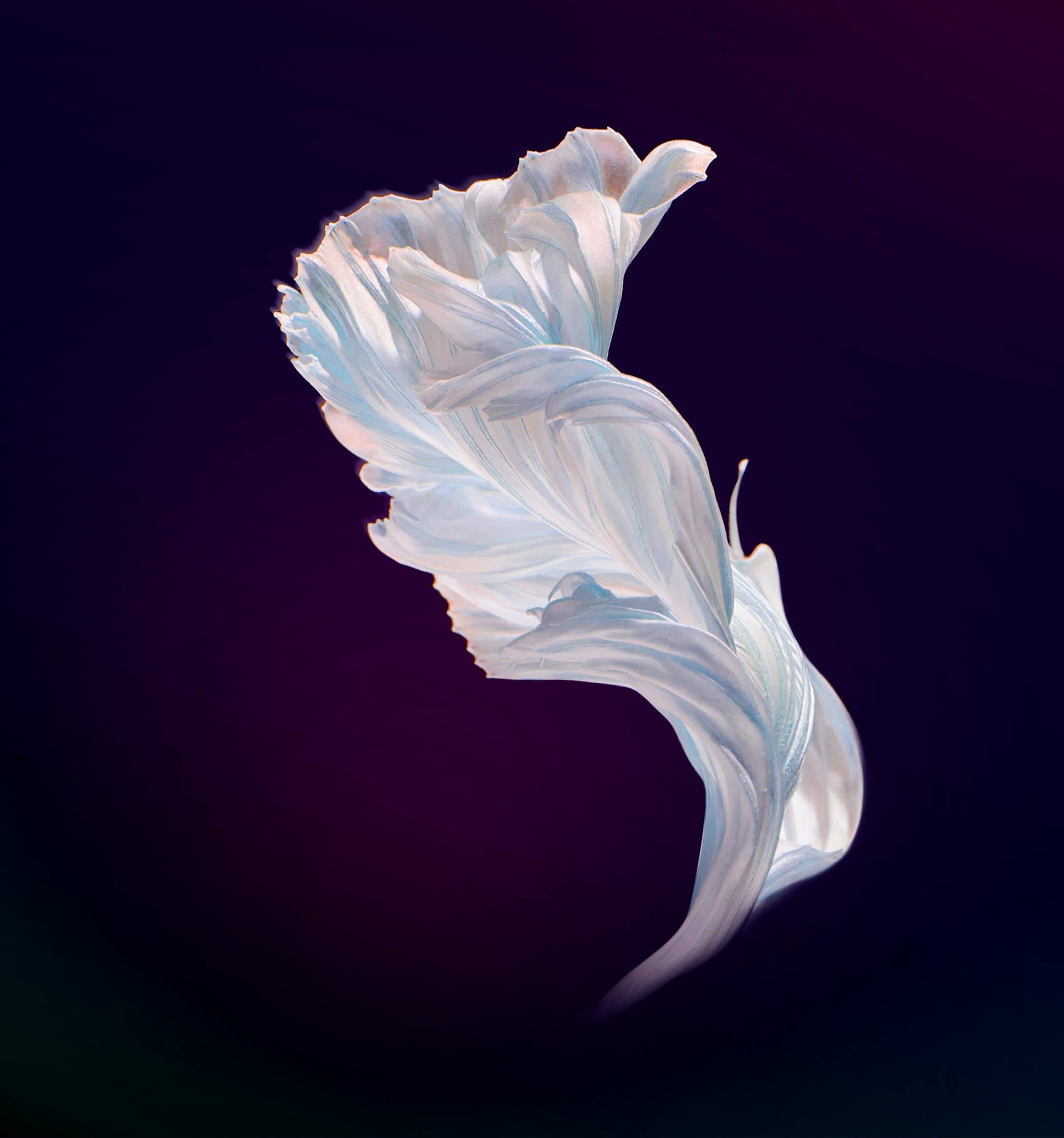 Huawei Nova 4 Stock Wallpapers