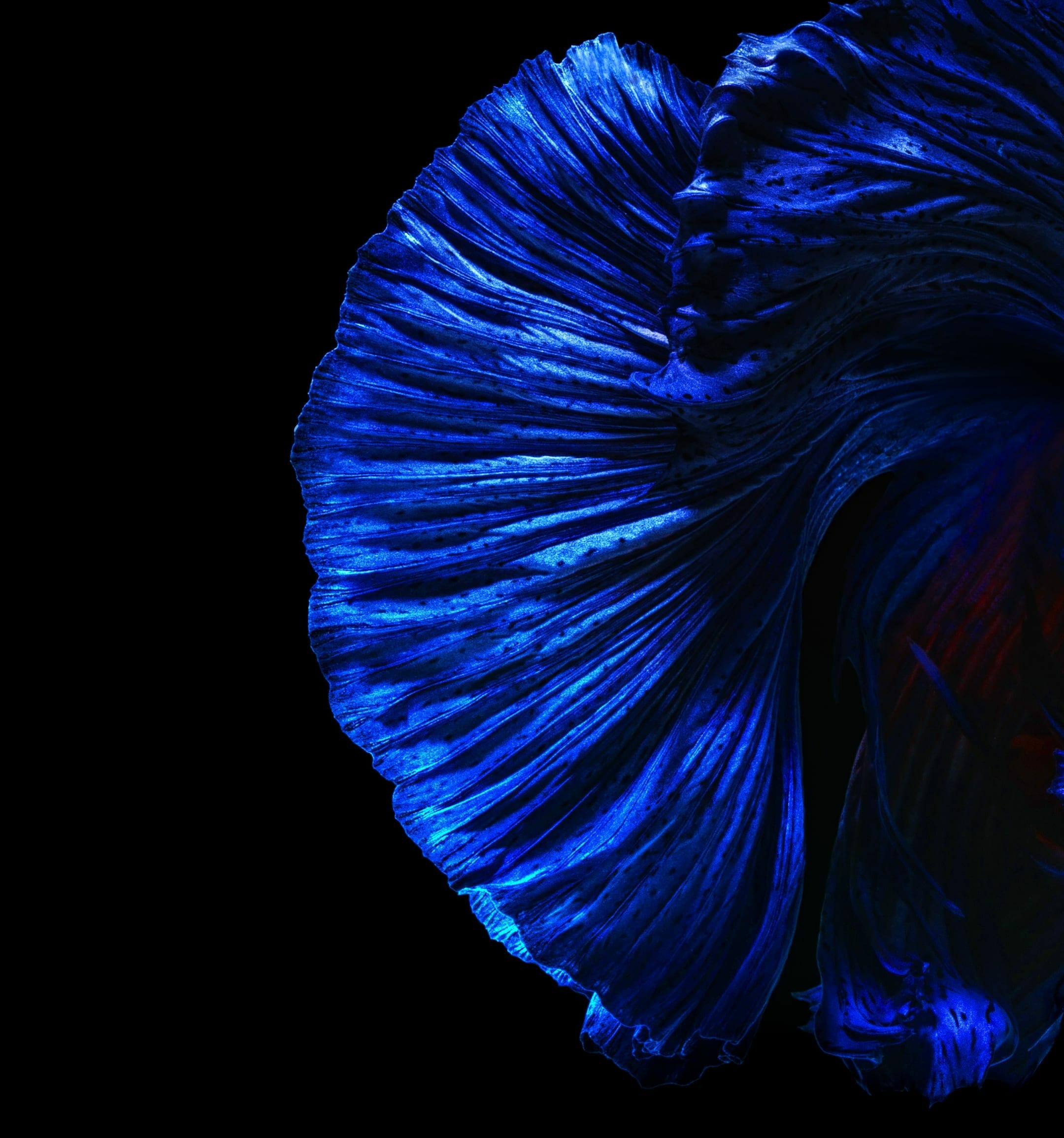 Huawei Nova 4 Stock Wallpapers