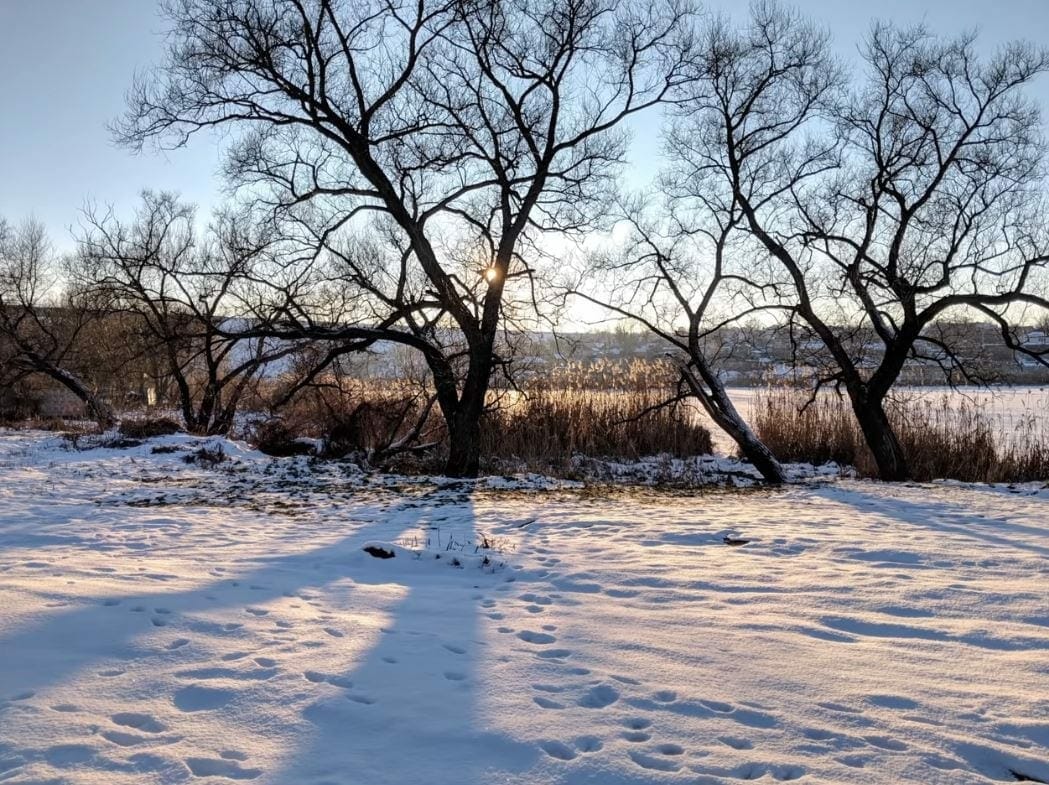 Google Pixel 3 Lite Specs