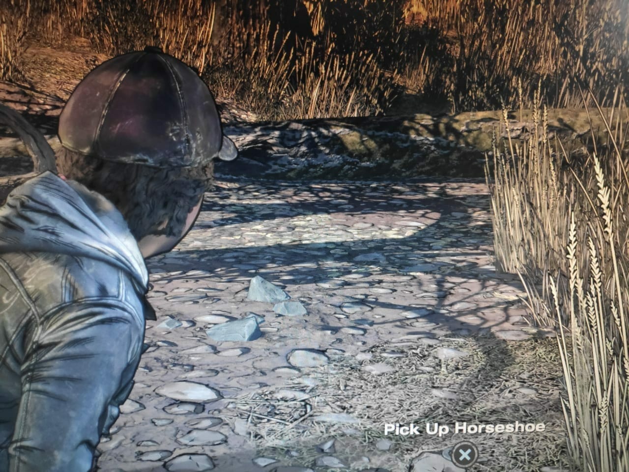 The Walking Dead The Final Season Episode 3 Collectibles