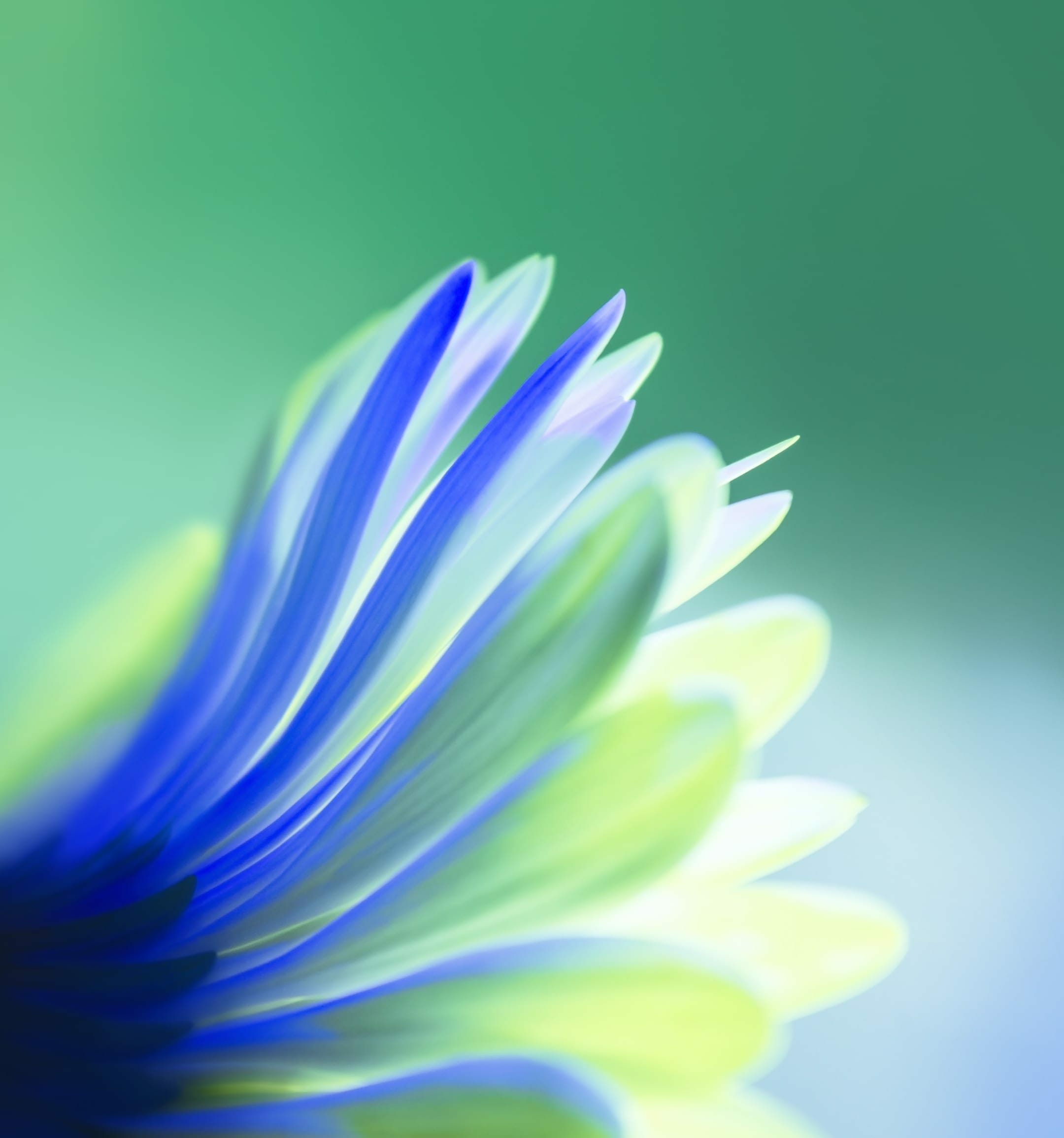 Honor V20 Moschino Edition Stock Wallpapers