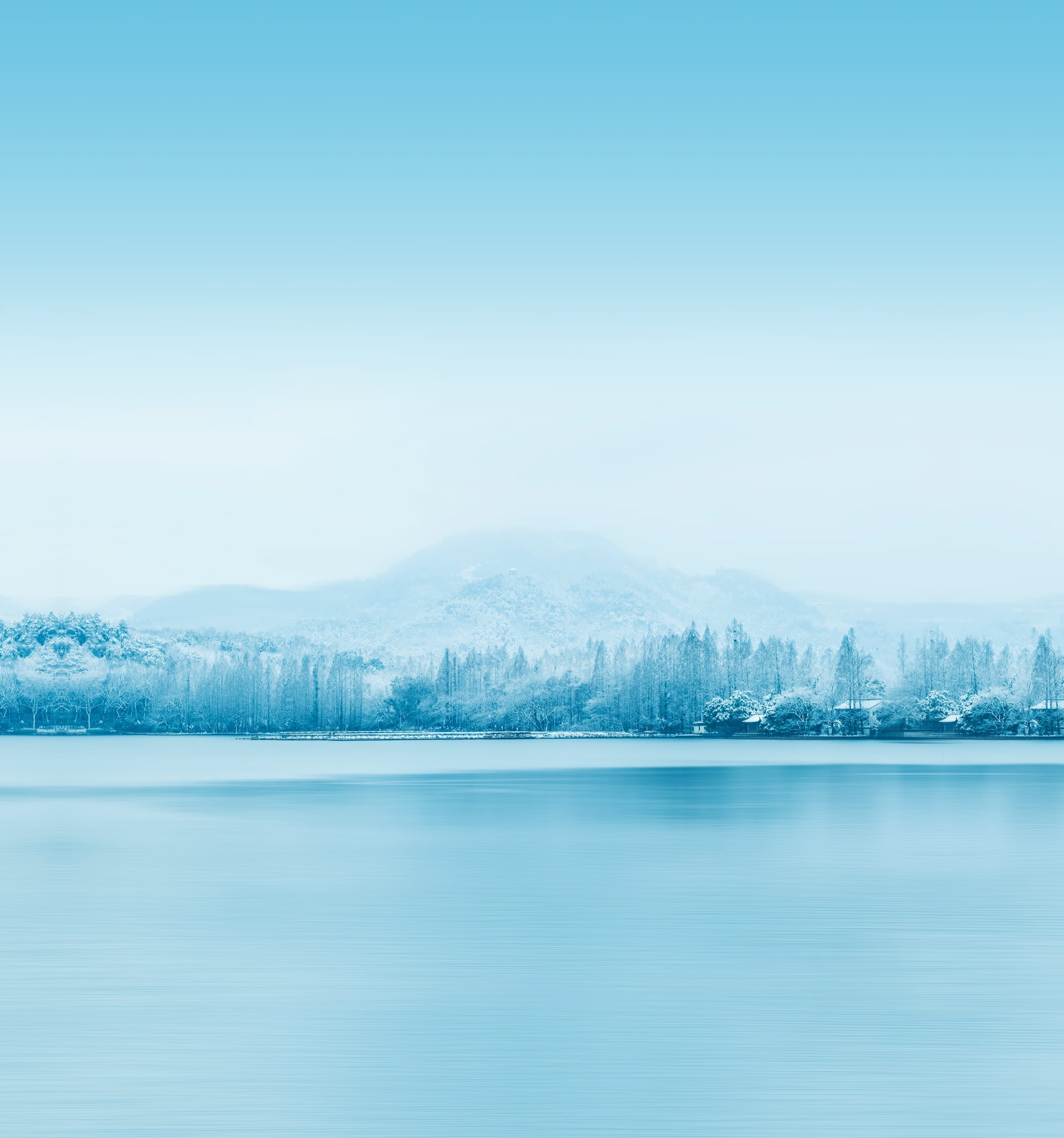 Honor V20 Moschino Edition Stock Wallpapers