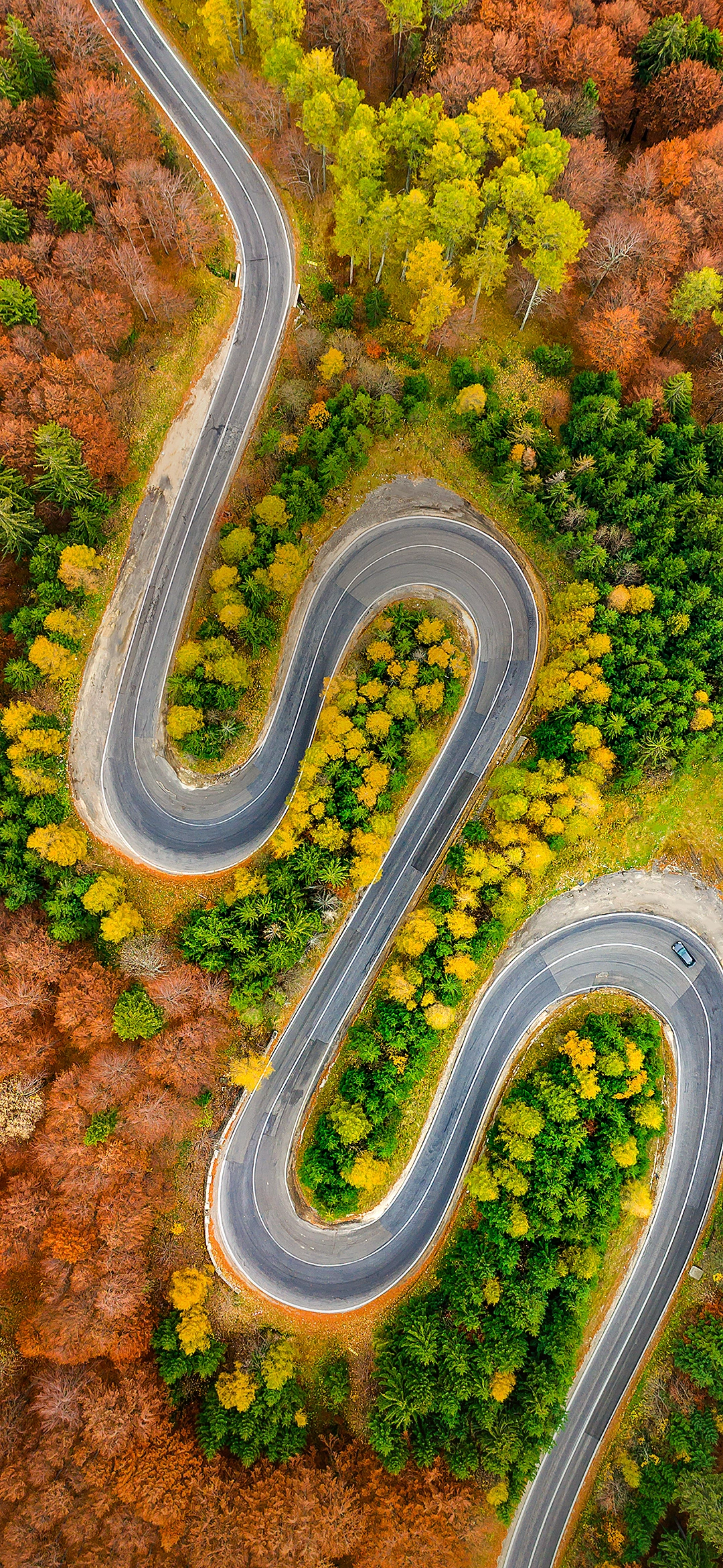 Asus Zenfone 6 wallpapers