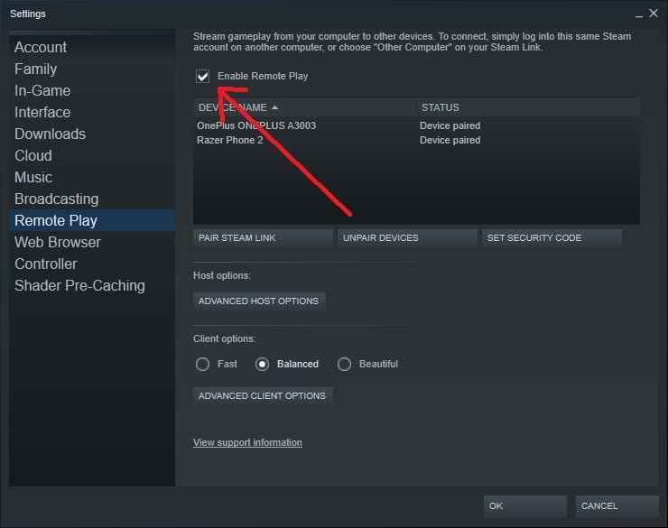 Steam Remote Play