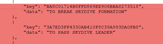 Fortnite Skydive Leader