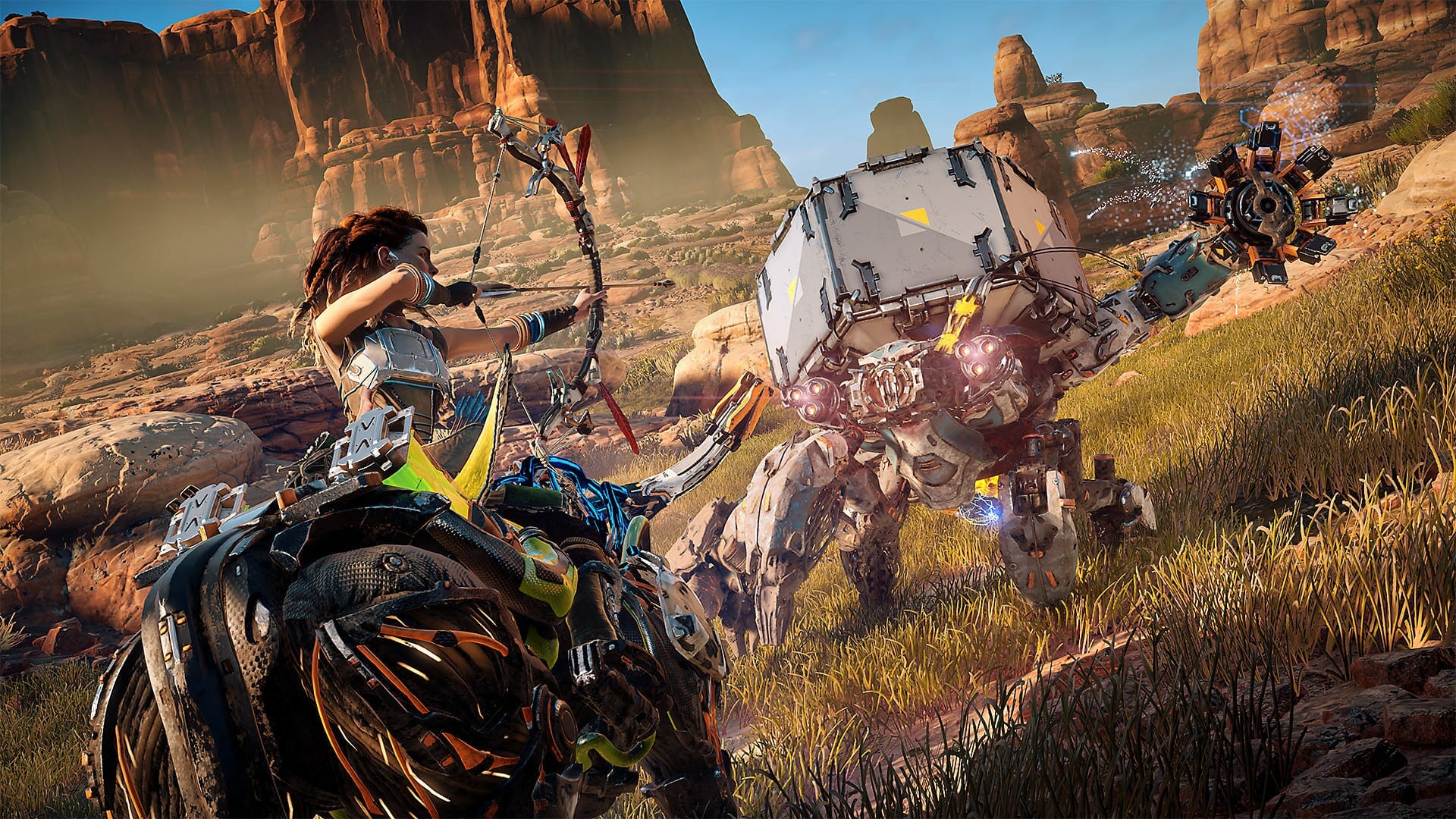Horizon Zero Dawn for PC