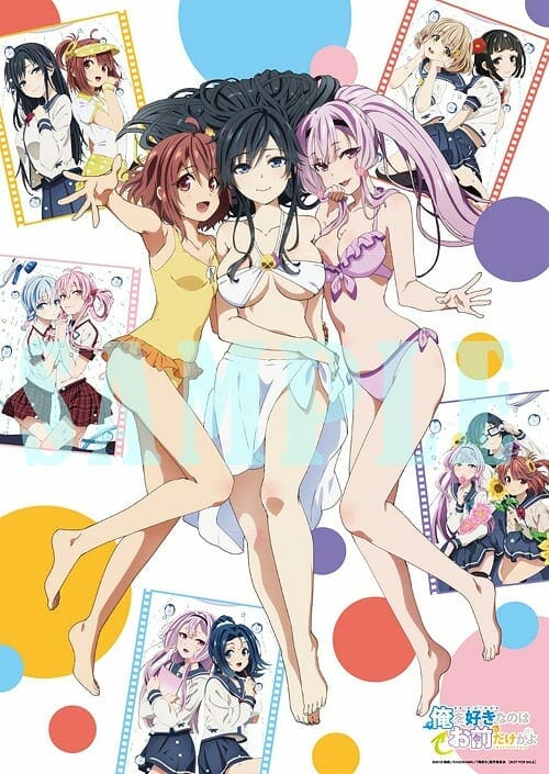 Ore wo Suki Nano wa Omae Dake ka yo” Light Novels Get Anime TV Series -  Anime Feminist
