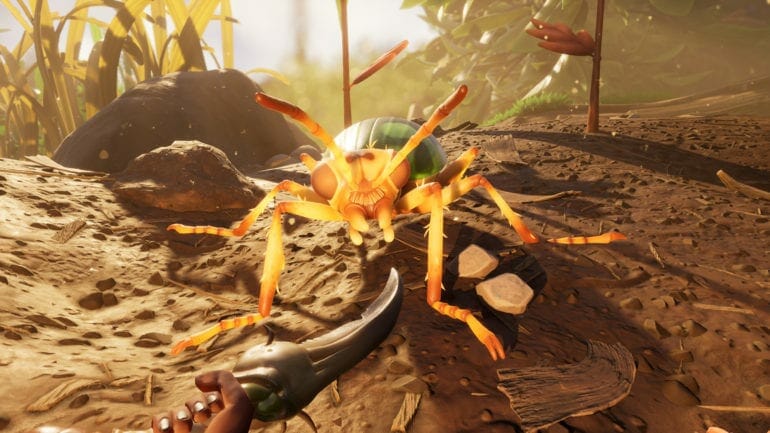 Grounded FOV