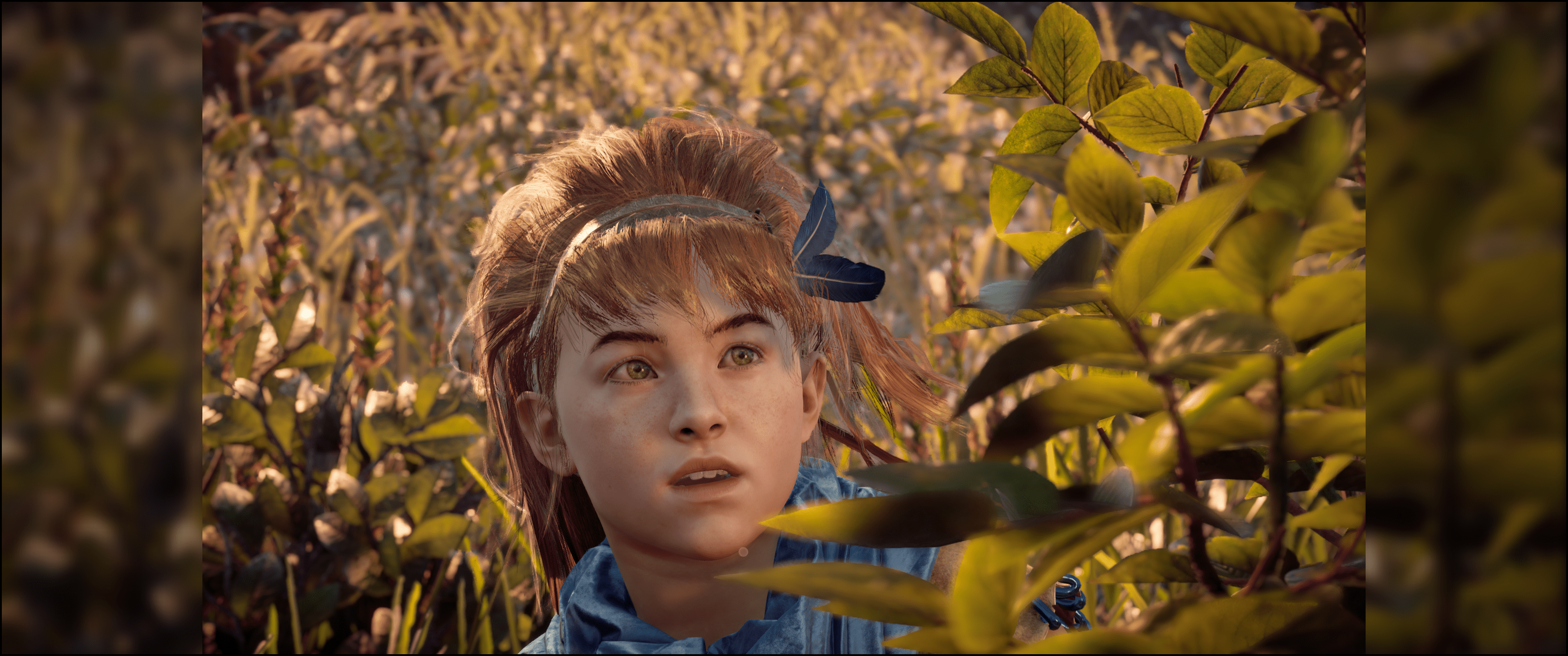 Horizon Zero Dawn Ultrawide Issues