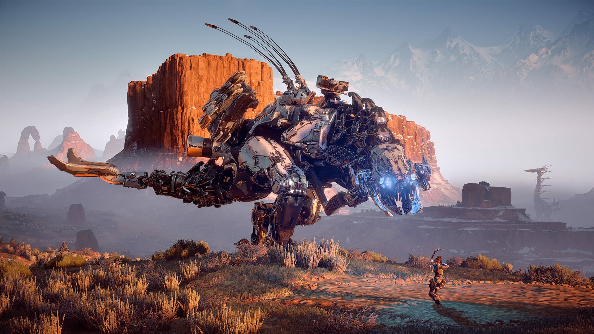 Horizon Zero Dawn Ultrawide Issues