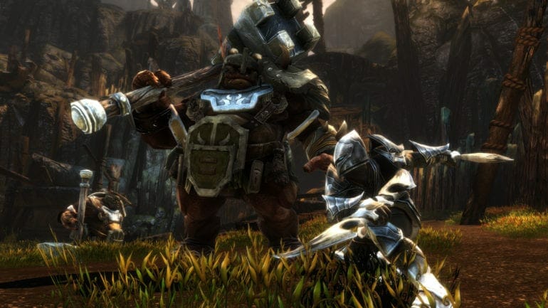 Kingdoms of Amalur Re-Reckoning Not Launching