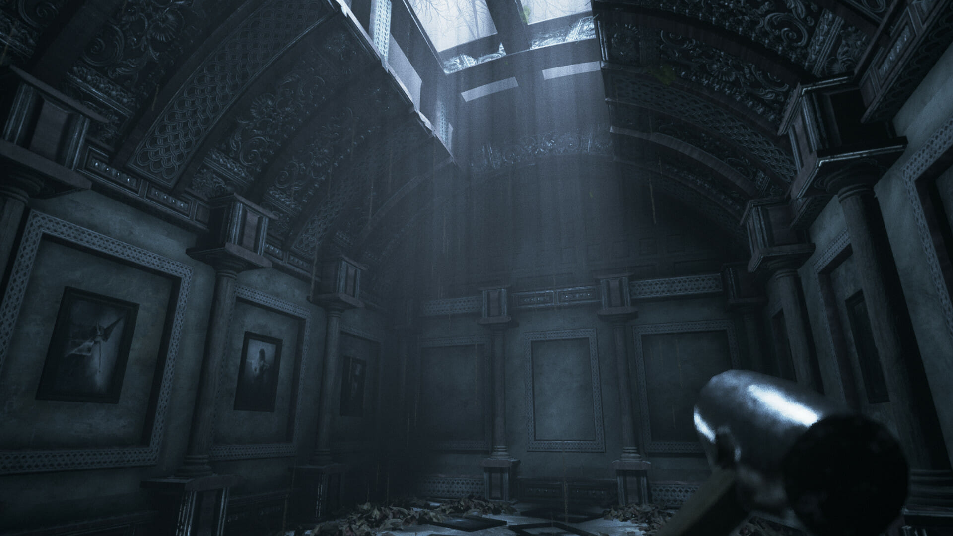 fix Visage Ultrawide