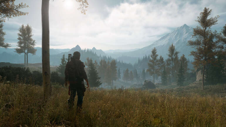 Days Gone Save-Game Files