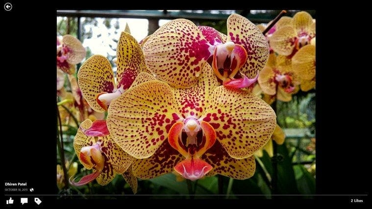 facebook-app-windows-8.1-photo facebook-app-windows-8.1-photo